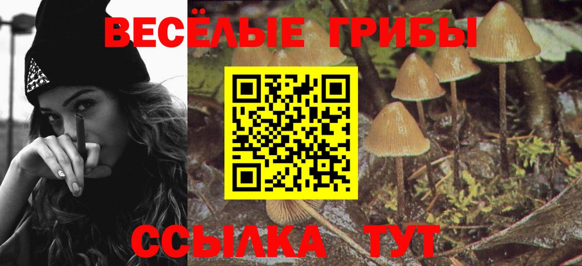 Галлюциногенные грибы мицелий Тында