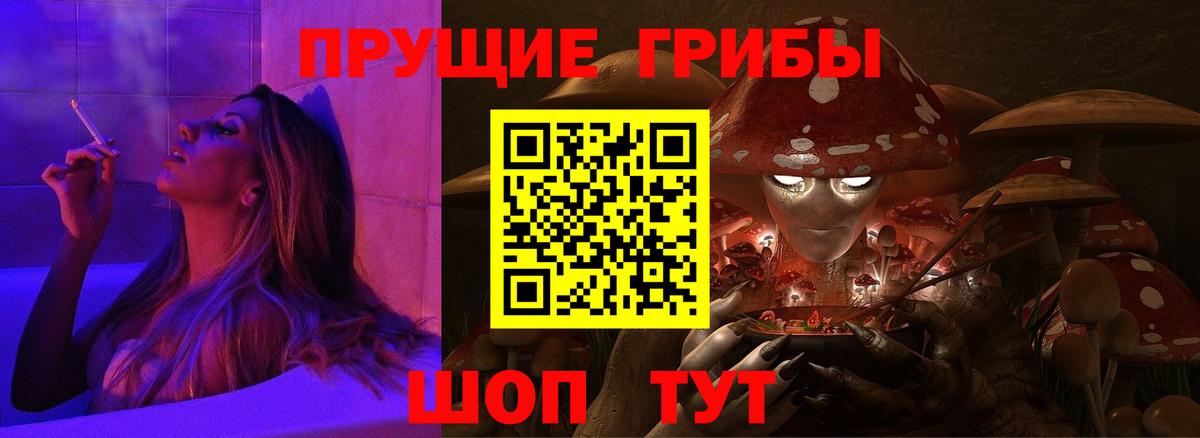 Галлюциногенные грибы прущие грибы  Псилоцибиновые грибы Psilocybe  Тында  Вход с VPN 